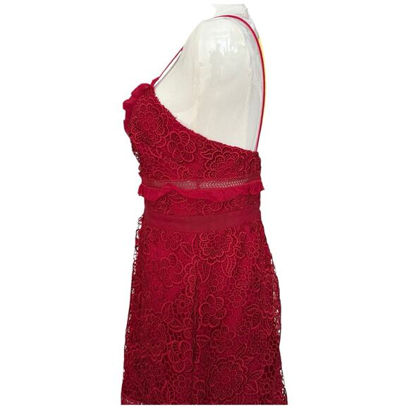 SELF PORTRAIT Floral Blush Lace Guipure Midi Dress in Raspberry Red Size 6 - Picture 7 of 14